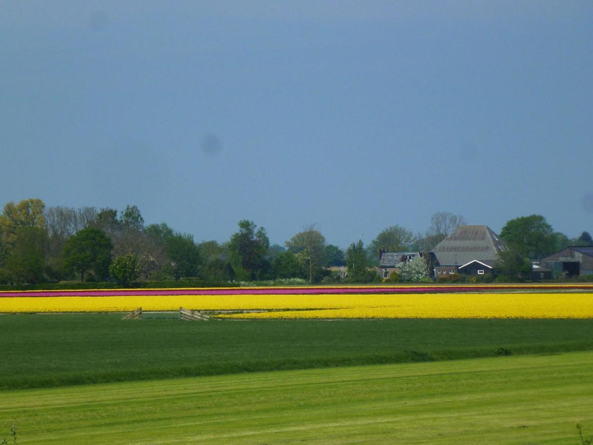 Het Burgemeestershuis Bed & Breakfast Barsingerhorn Luaran gambar